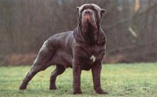 c059c3a3-d3a8-4f79-86cc-df4ef4978050