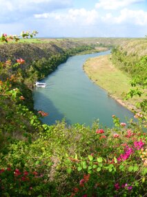 d5479960-57d1-41ed-91df-605a16df42b4