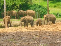 bc36c424-2252-4a77-b48c-71a08996c963