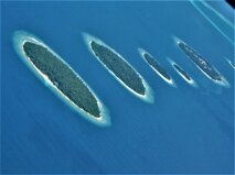 450103c7-b20e-409b-af85-f8d803f16e62