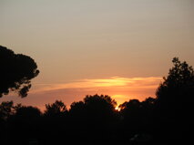 de0b7ae0-ed7e-46d8-8a81-8c4fd6611100