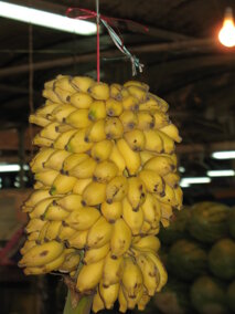 59f7d03b-dcfe-4c7a-8ff9-ee032ba6f5ec