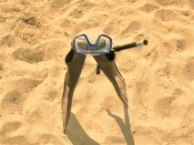 d0c537fb-f671-4e64-a839-96b1190a865b