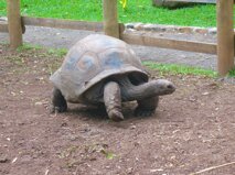 ff7e5c6d-9097-401f-be32-756ad2141fbe