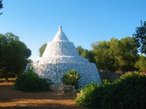 0ef5bf2c-877a-4a91-a527-4e9080a0e140