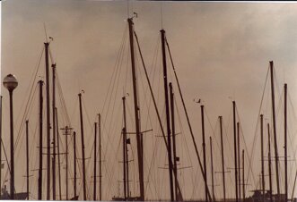 a6bee08e-b885-4609-9506-c6dc4e51cd5b