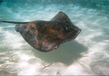 7ca09e3f-835c-4ce1-bc91-9f982b51fc09