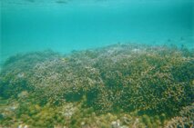 a915d5f9-679a-4198-8447-57c4dc72028f