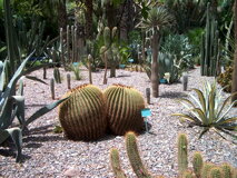 d2dbeba0-2fba-4898-8a58-080368f6df70