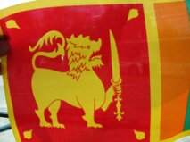 dc85e5ff-eb11-481c-8f35-8cdc8e262a4d