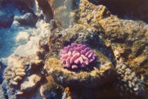 0ec4b13d-946c-43a5-a550-abda78ea6ac0