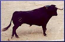 174f4da4-1a48-499c-888e-4db7267308cb