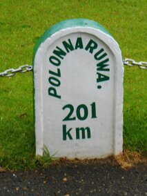 98c9959a-2382-4ae7-b348-055a69c900cb