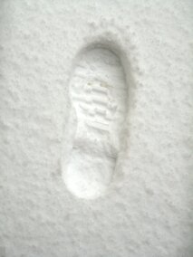 663bb62d-c69d-4b77-b8d0-ba7597d857cf