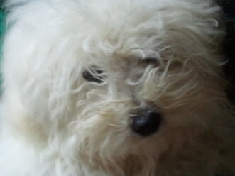 a7f77468-4de3-4356-9084-70bd68c94f7e