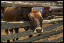 003485e0-7f02-4126-a48d-e9f5763c3266