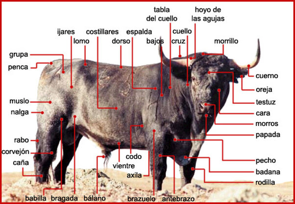 cd9b1349-18c6-4343-badf-27597cd3019a