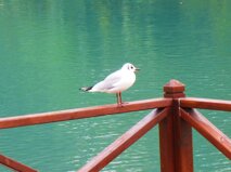 098ee74d-7477-4e18-9c6c-6baf16f3390a