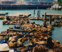 0e7cfeff-a2be-441e-8862-00bf8ab4529b