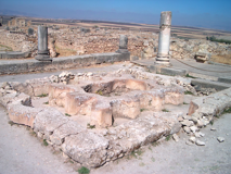 4924f6df-7483-4576-b9e8-8d7b9c83400c