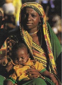 d31a6d45-0f18-40f3-8e83-db0c6c3f5300