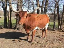 92fa8824-bed6-41e7-b951-d89040fa8512