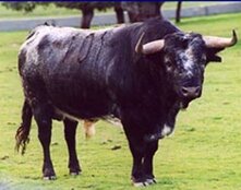 e79d11f3-2782-41f7-8f2f-8a2e558269e7