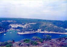 ad89d47e-7d9f-4b55-8f6f-0ce0fe78d087