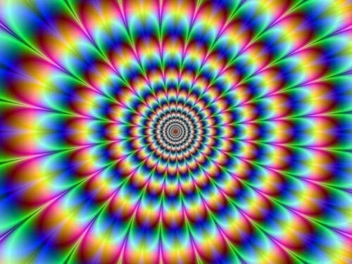 51ee95ac-67e7-4d51-8539-c6ec4b5f76e1