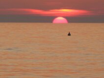 830e6f57-911a-4fb3-a3b2-33fa60a45fb8