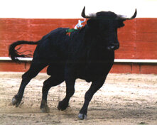 87707404-4221-4689-86d6-21f69bcb641d