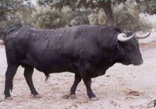 4f330cf8-7c85-4f5f-bb3f-a5860cb5571b