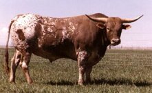 e6d1ae81-5fcf-4558-855e-ac13dd4050cf