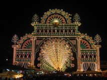 c1732f17-2979-44bc-86e8-d956d66a2453