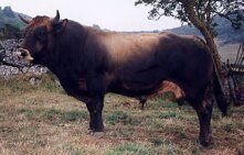 e89d79ad-9426-4409-b7ac-76523d011bc1