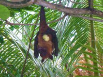 7a6f3c4b-2807-4ed4-8f70-14425dde0421