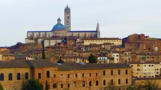 5ba19c1d-8e25-4894-86df-862e2ce084e5