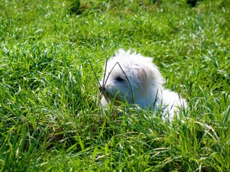 fe46389e-bfd9-4ee3-8da7-a74fd37d19e5