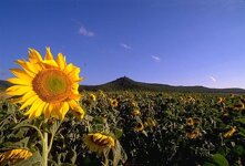 df1bd299-af50-4a59-9795-e7d68801c98e