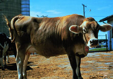 ebc58506-7b5e-4387-84fb-c11b2879136a