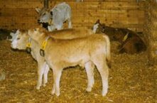 002a34d6-10ad-4b74-b645-4dd1287fc828