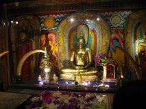 c42e6a6d-e068-481a-a389-f8215f3c8701