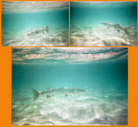 4bb63dec-e82c-4f37-b558-92fc6afc8ed3