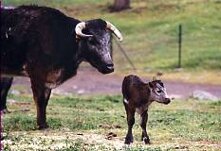 e6db528d-879e-49a7-9dd2-605ff6a6f05c