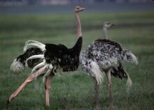 82aecf62-020f-4216-afca-eb917a6833ad