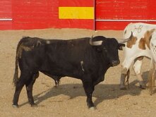 c04d7311-2fc0-447d-ba48-5d74b2030678