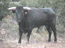 777617ee-dfe5-48c2-851e-41e91d20a0fa