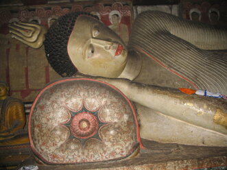 53612e3f-c4ac-4874-911a-71a7709f5e74