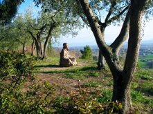 88cb1b32-ba22-4713-9e0f-97ce4dc0eca2