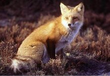 174dec02-2da6-4be4-af80-dd47c59b1078